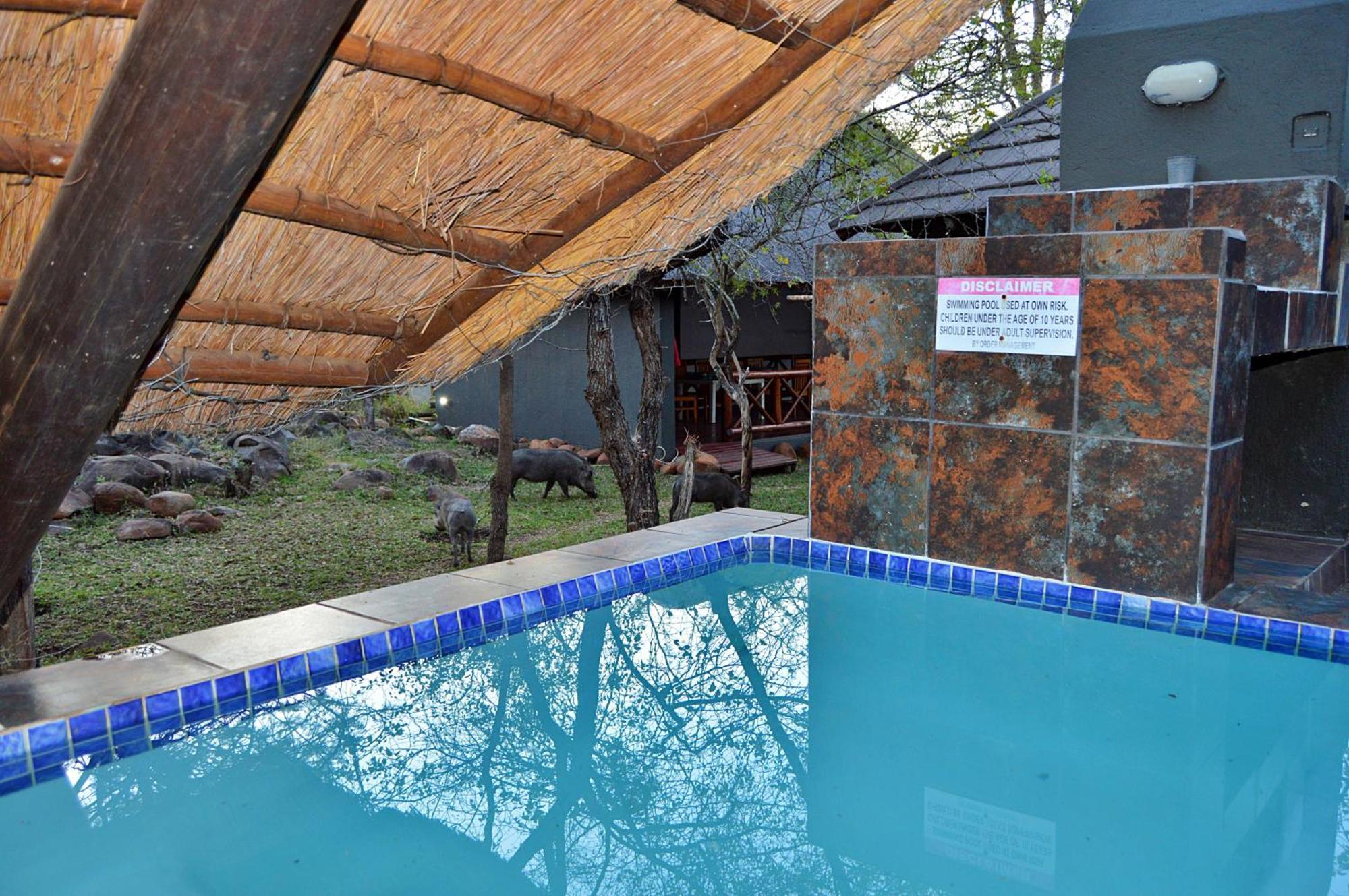 Royal Marlothi Kruger Safari Lodge And Spa Marloth Park Bagian luar foto